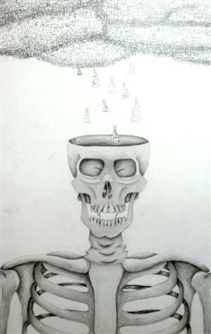 felecia skull 